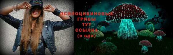 шишки Верхнеуральск