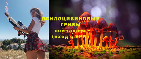 шишки Верхнеуральск